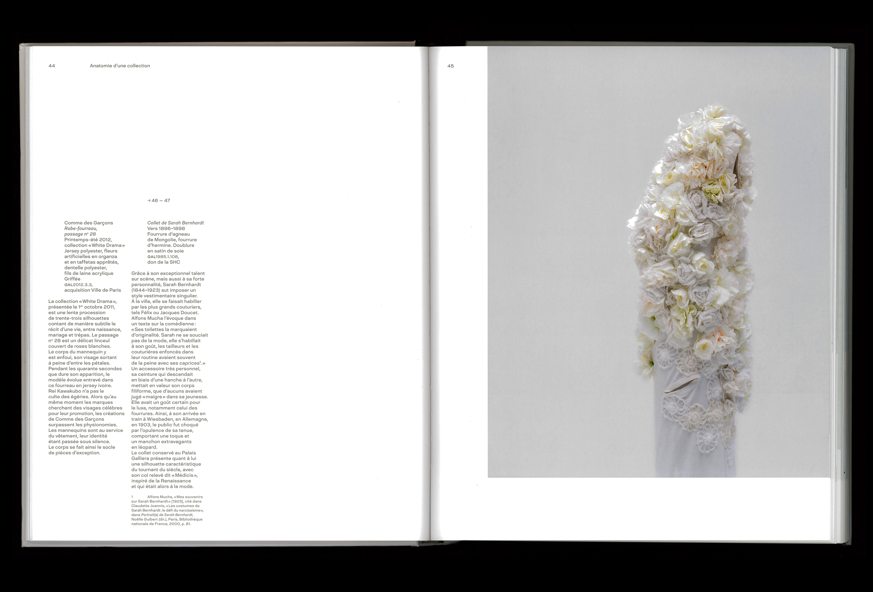 Anatomie d’une collection — Lisa Sturacci Graphiste