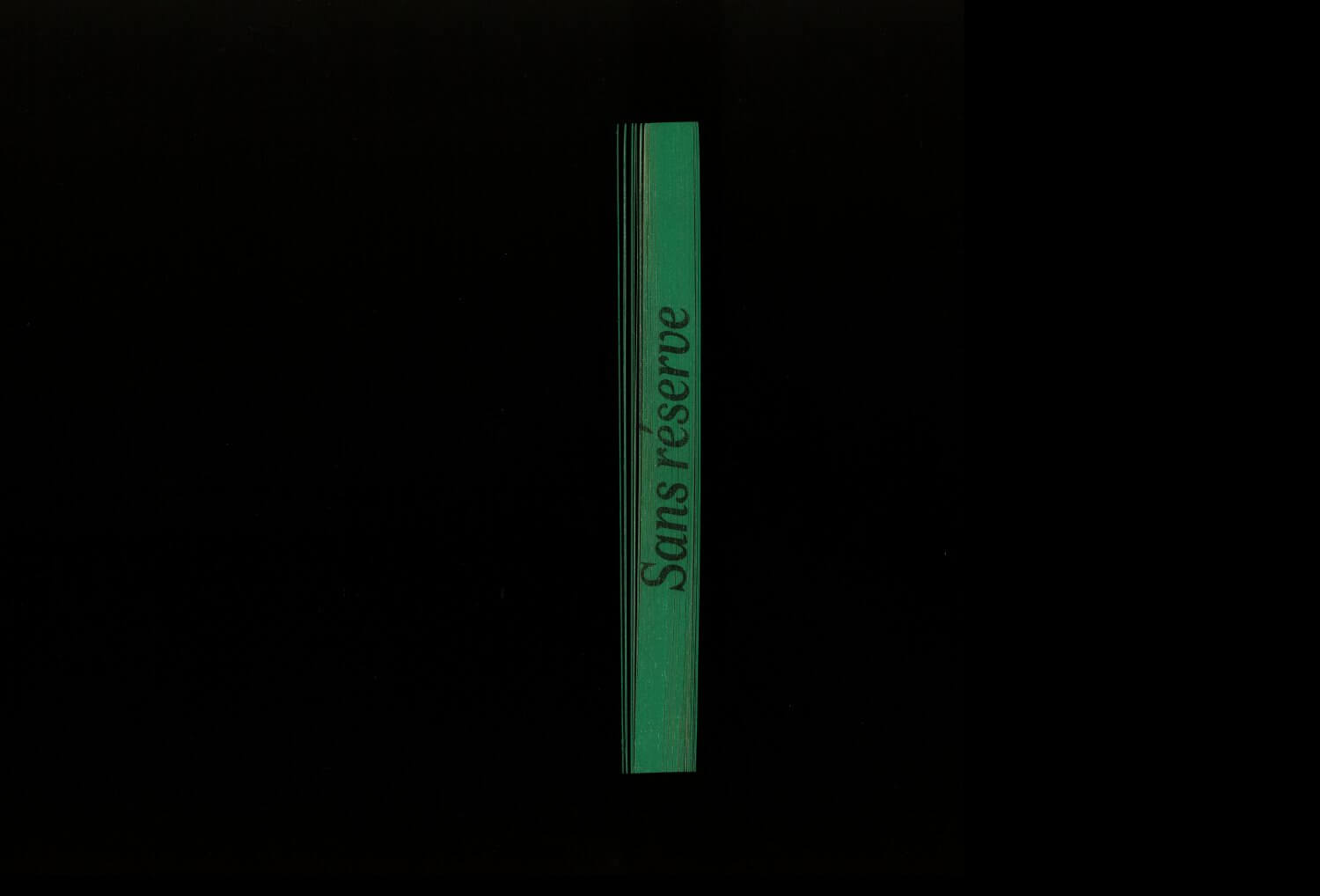 MAC VAL, Parcours #8 «Sans réserve» — Lisa Sturacci Graphiste