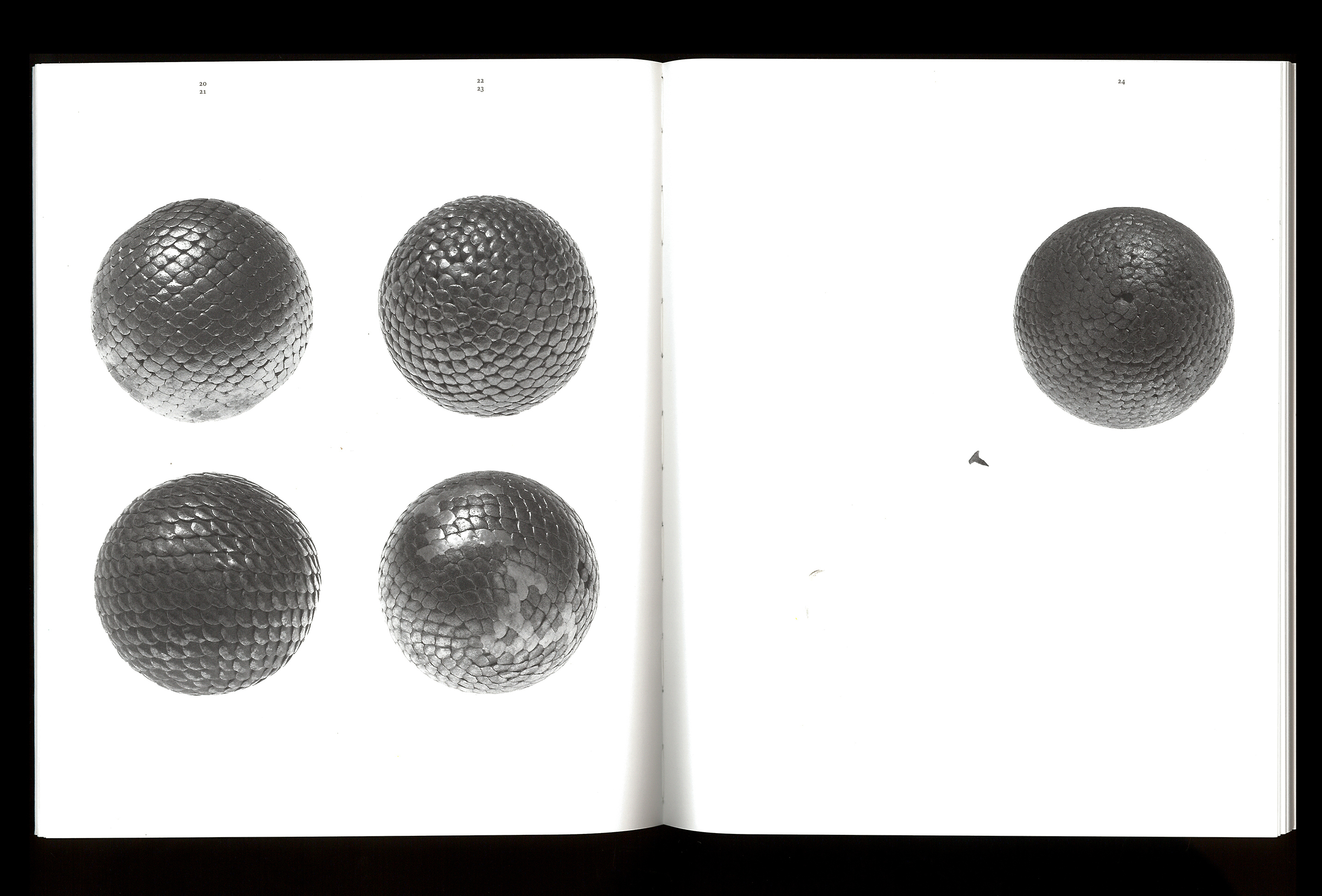 Collections Typologie — Lisa Sturacci Graphiste