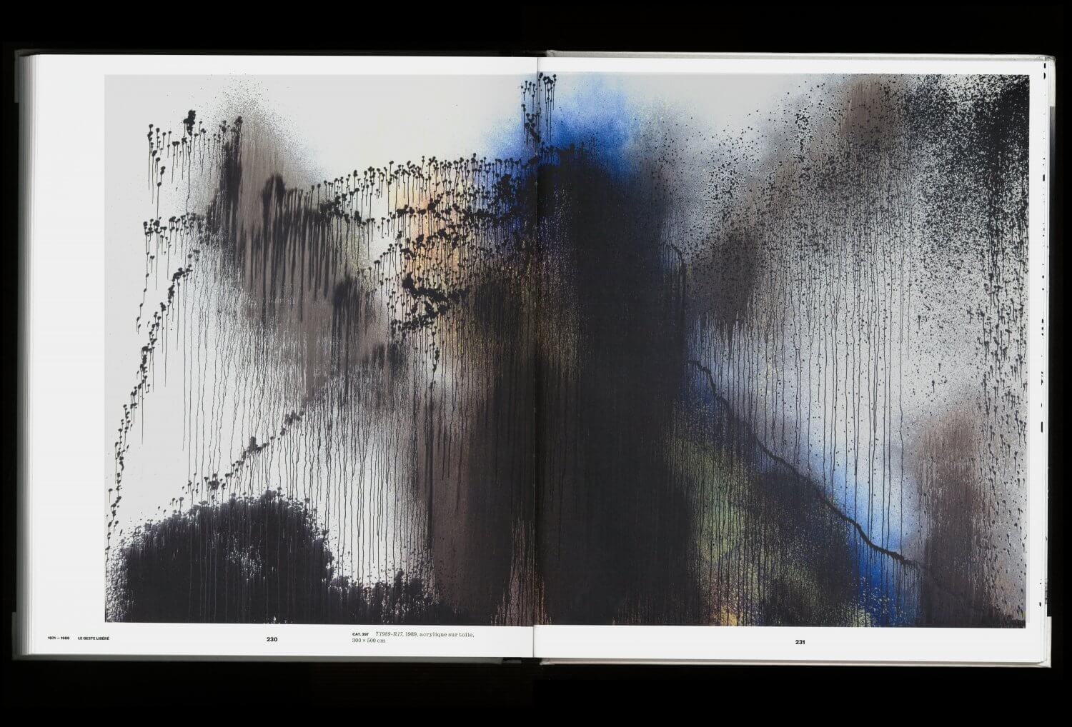 Hans Hartung. La fabrique du geste — Lisa Sturacci Graphiste