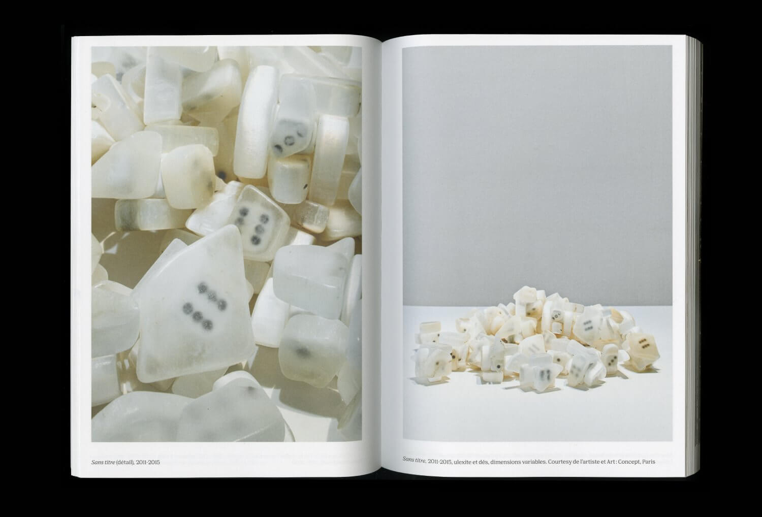 Hubert Duprat — Lisa Sturacci Graphiste