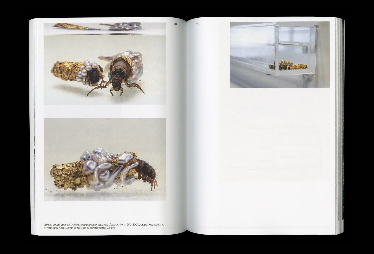 Hubert Duprat — Lisa Sturacci Graphiste