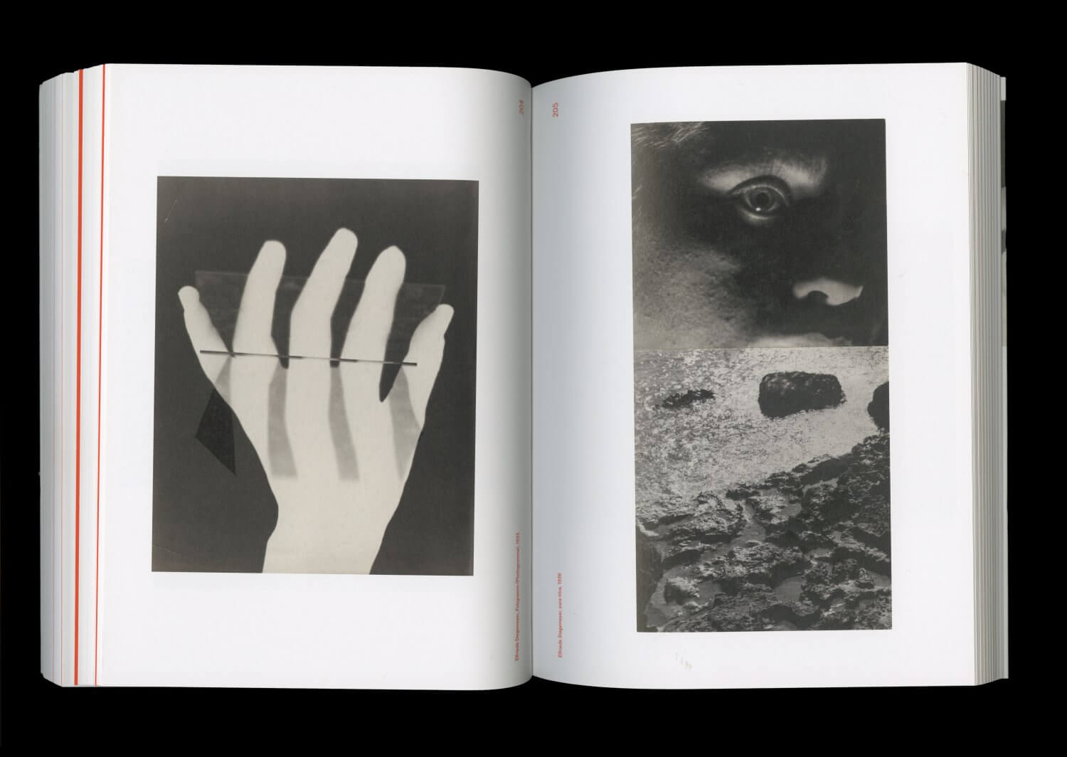 Chefs d’œuvres photographiques du MoMA. La collection Thomas Walther — Lisa Sturacci Graphiste