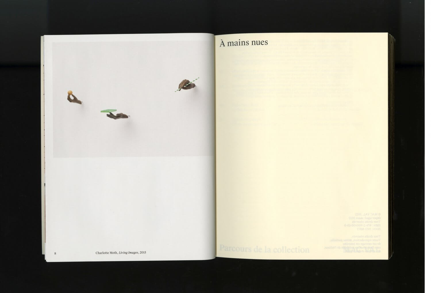 À mains nues — Lisa Sturacci Graphiste