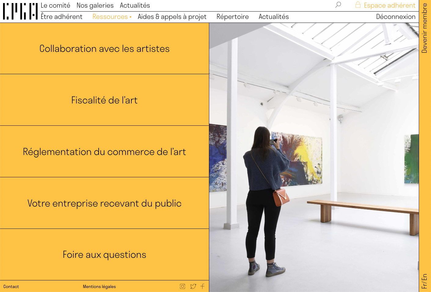 Comité professionnel des galeries d’art — Lisa Sturacci Graphiste