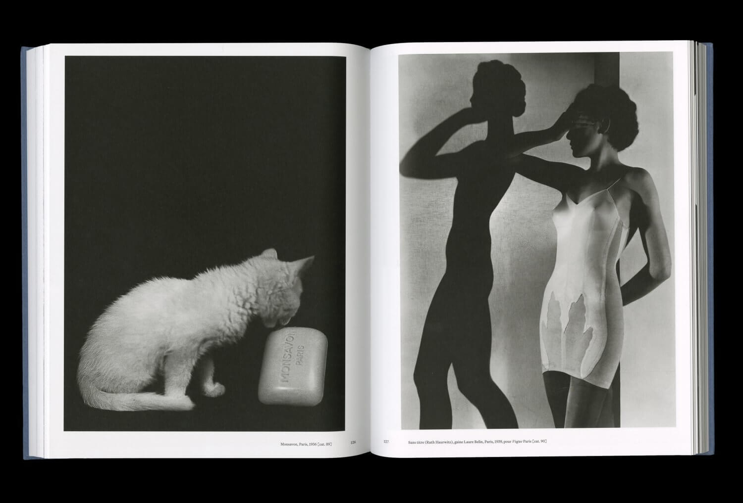 Les Tribulations d’Erwin Blumenfeld — Lisa Sturacci Graphiste