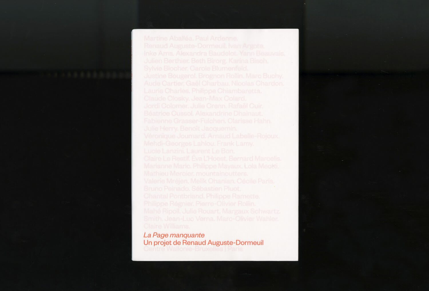 La Page manquante (Renaud Auguste-Dormeuil) — Lisa Sturacci Graphiste
