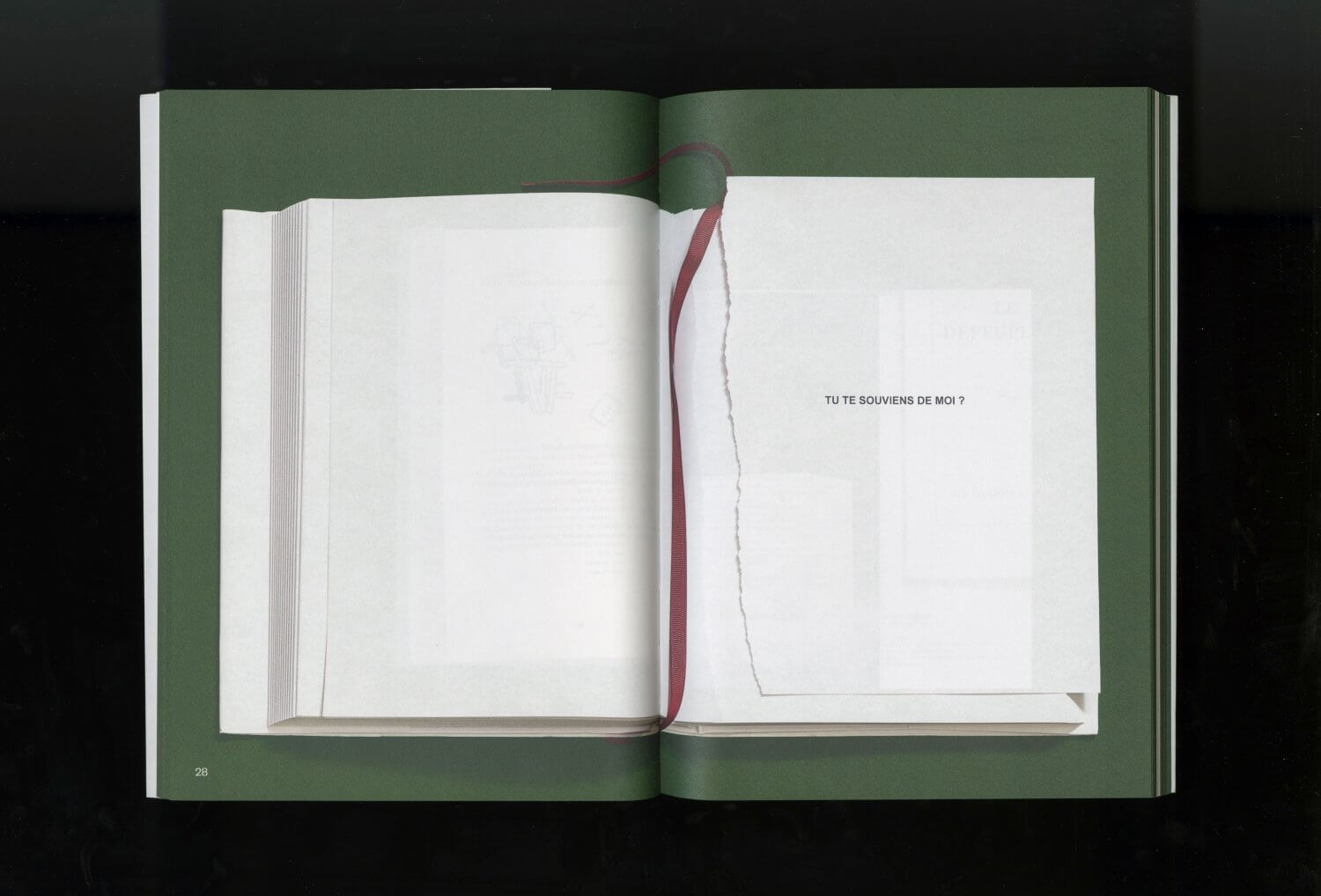 La Page manquante (Renaud Auguste-Dormeuil) — Lisa Sturacci Graphiste