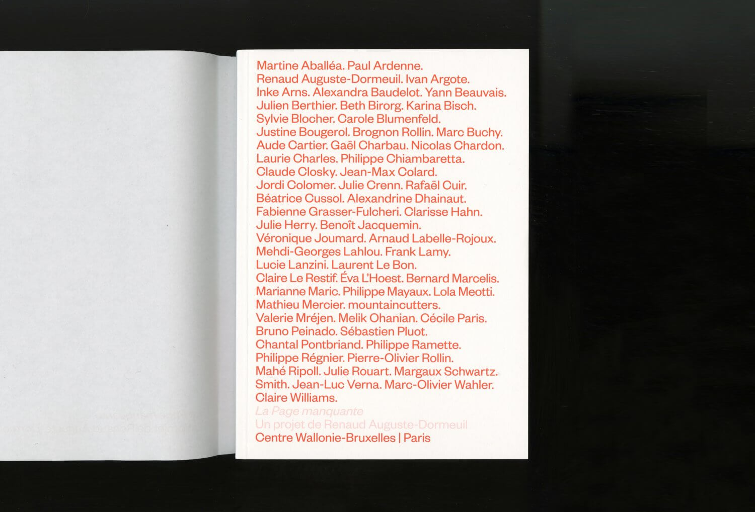 La Page manquante (Renaud Auguste-Dormeuil) — Lisa Sturacci Graphiste