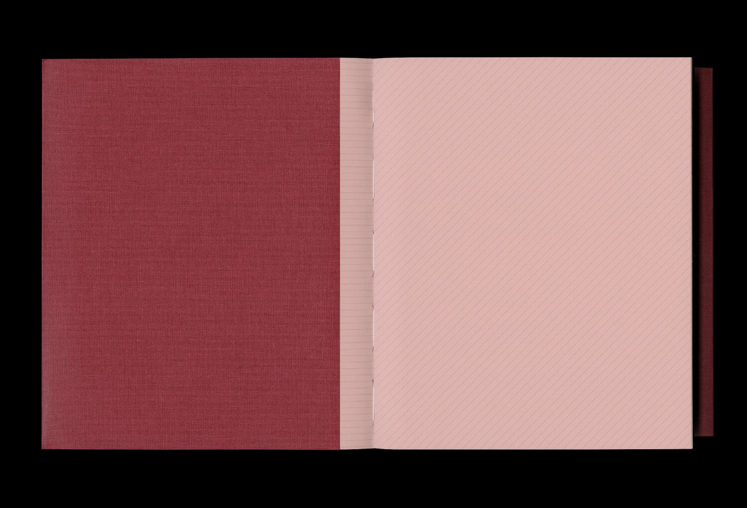 L’œil vérité. Le musée au second degré — Lisa Sturacci Graphiste