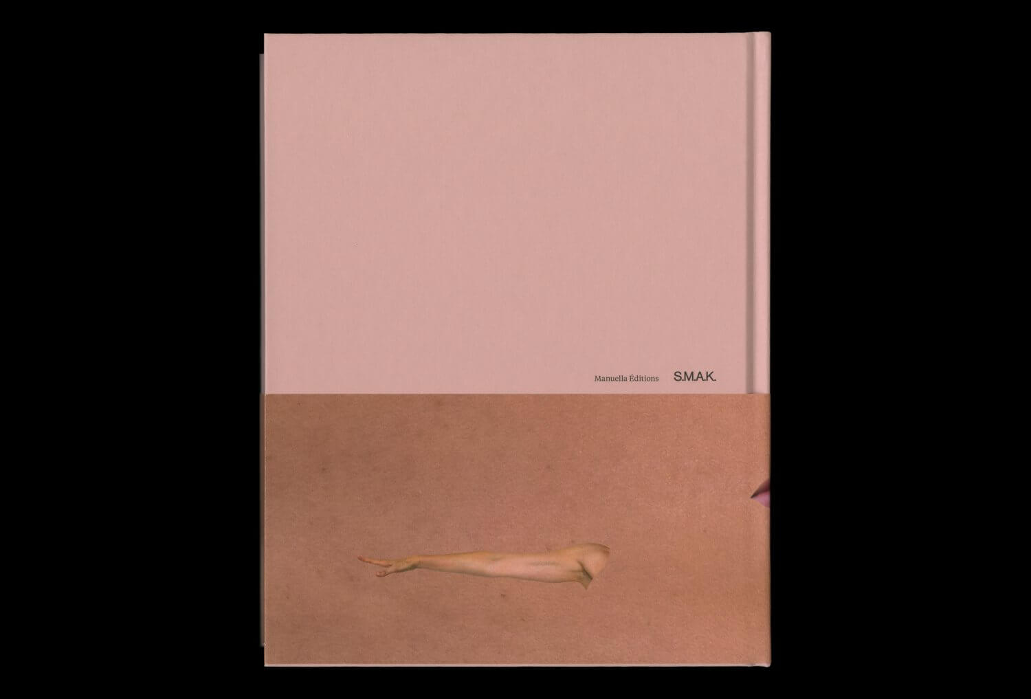 Guillaume Leblon — Lisa Sturacci Graphiste