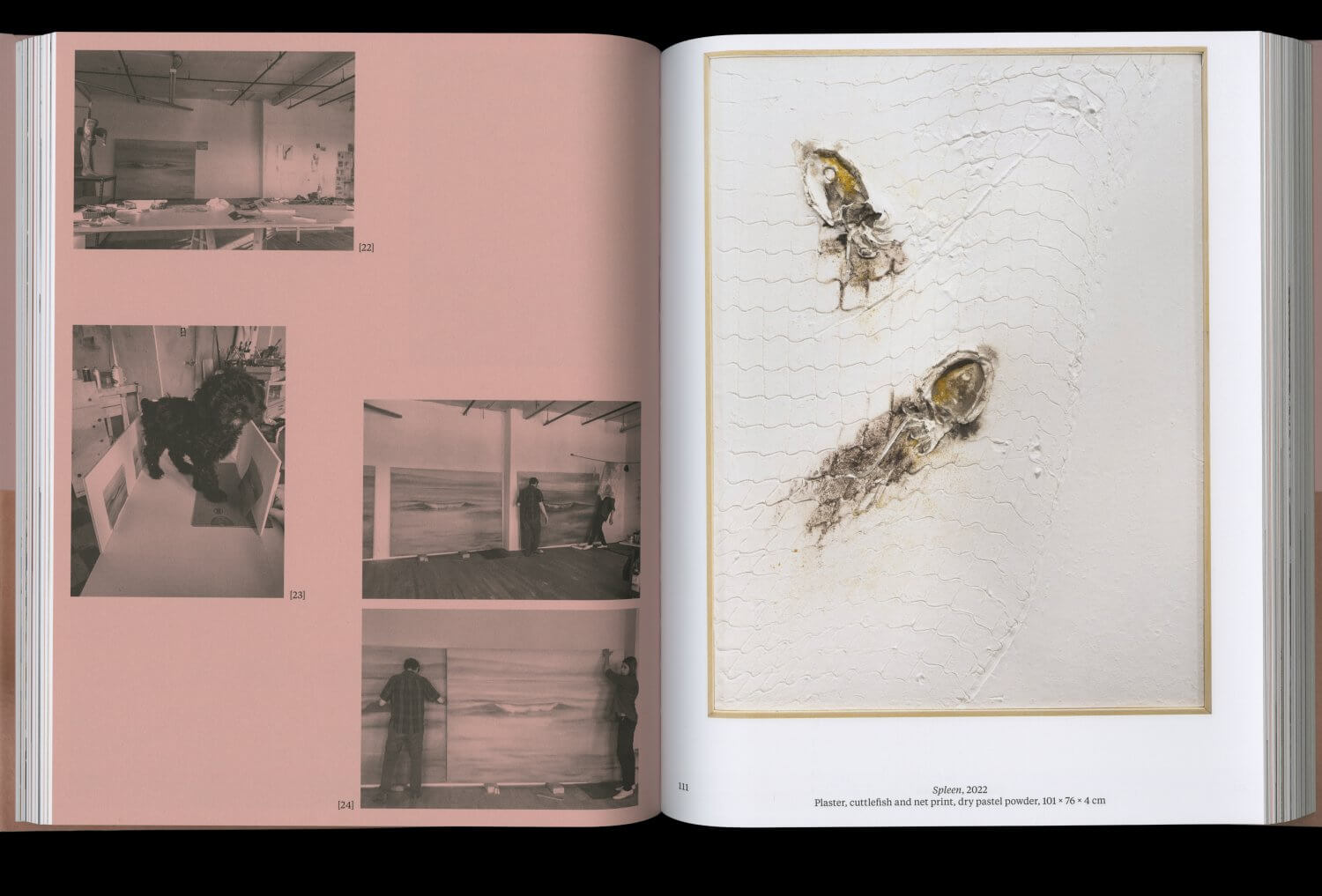 Guillaume Leblon — Lisa Sturacci Graphiste