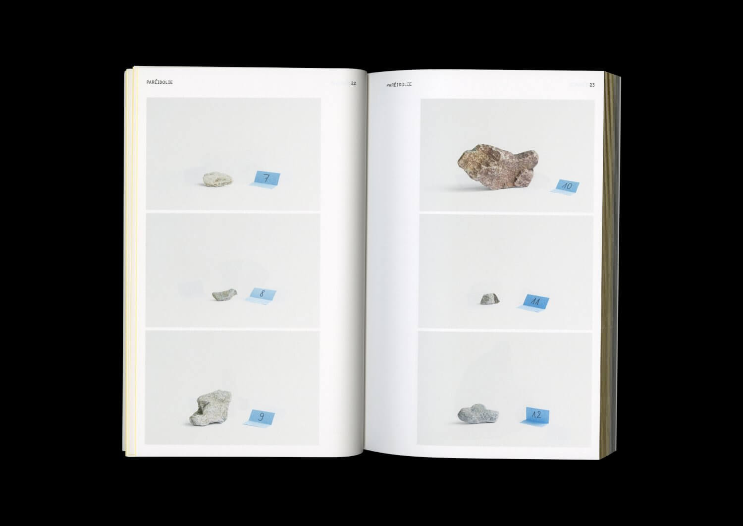Ce que disent les pierres — Lisa Sturacci Graphiste