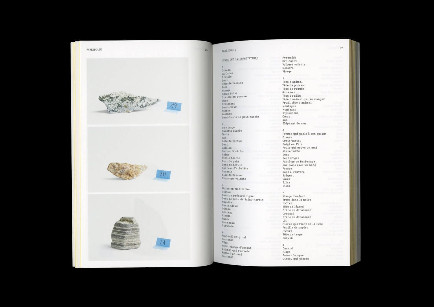 Ce que disent les pierres — Lisa Sturacci Graphiste