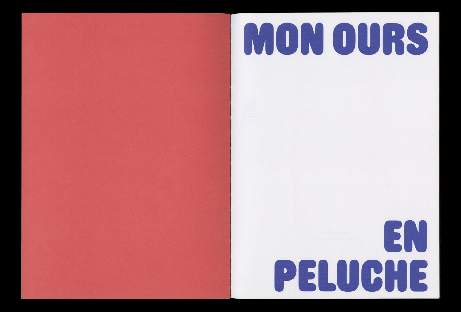 Mon ours en peluche — Lisa Sturacci Graphiste