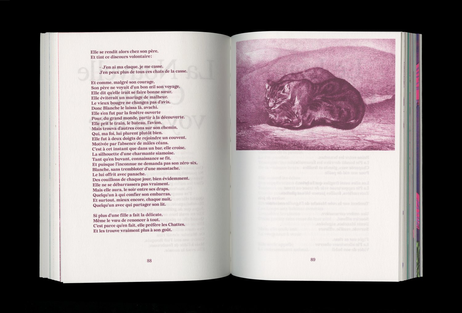 Mégafaune — Lisa Sturacci Graphiste