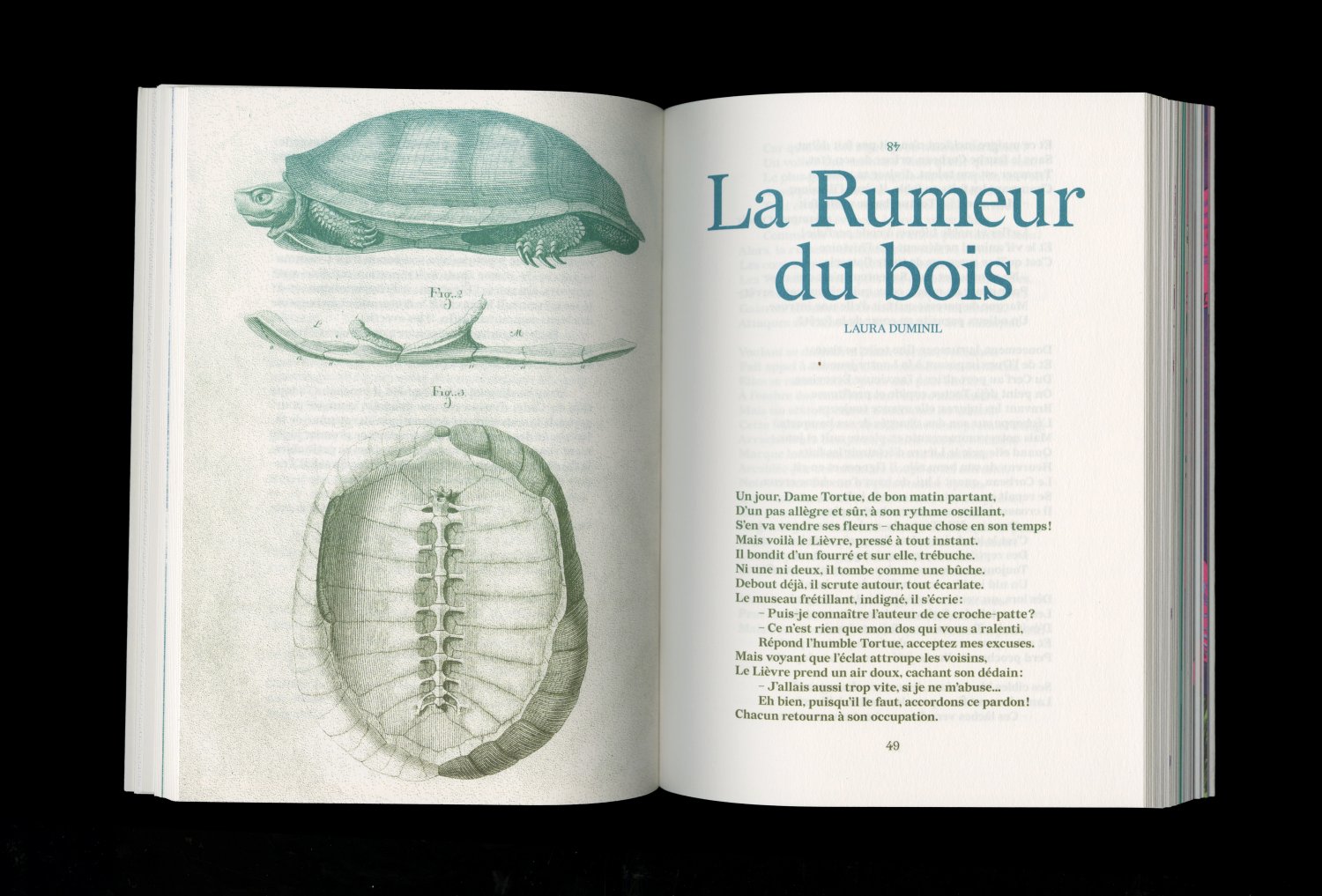 Mégafaune — Lisa Sturacci Graphiste
