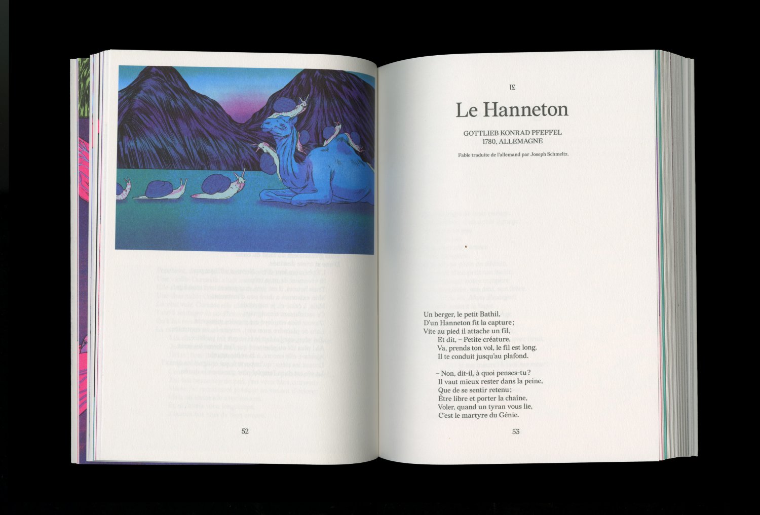 Mégafaune — Lisa Sturacci Graphiste