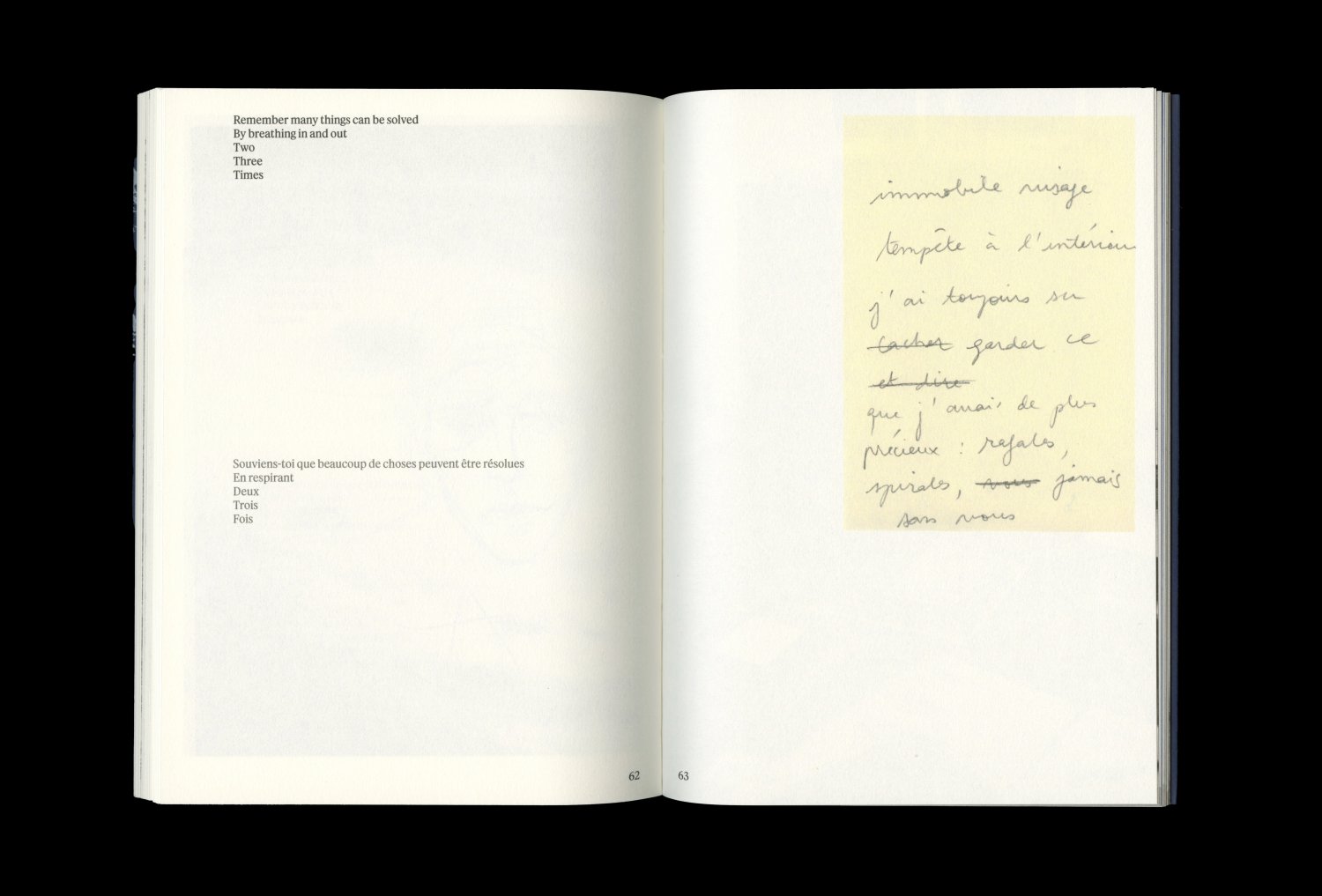 Caroline Corbasson. Something Moves — Lisa Sturacci Graphiste