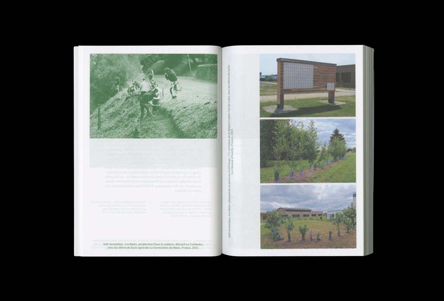 Les Haies. Réponses artistiques aux crises climatiques — Lisa Sturacci Graphiste