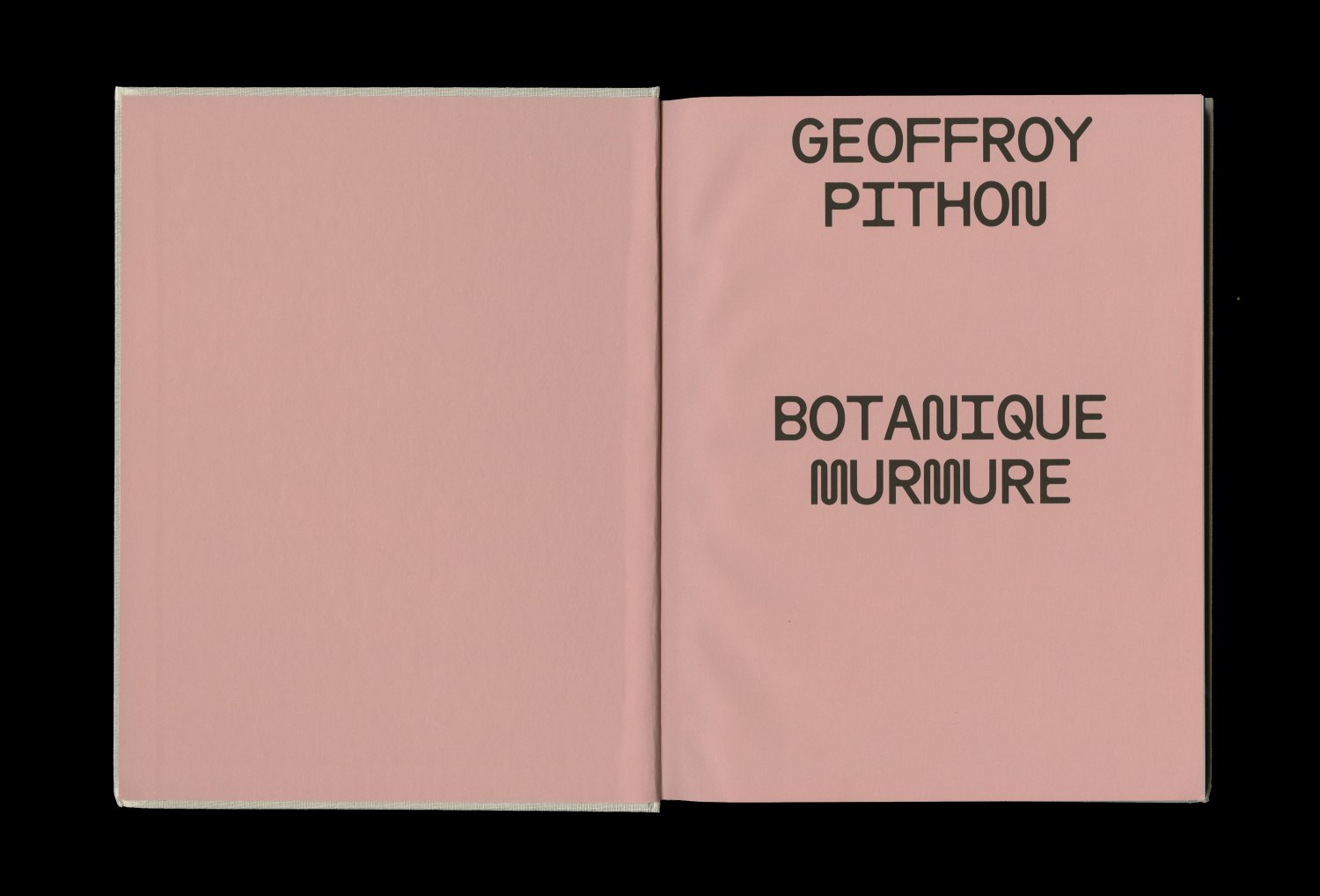 Geoffroy Pithon — Lisa Sturacci Graphiste