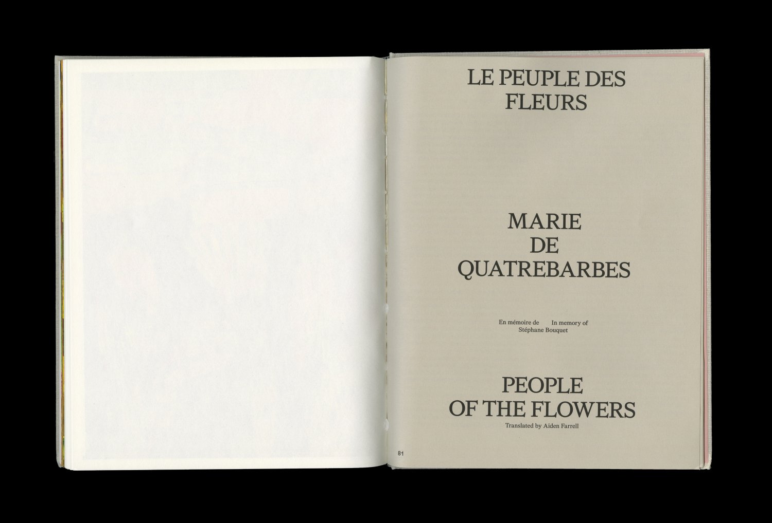 Geoffroy Pithon — Lisa Sturacci Graphiste
