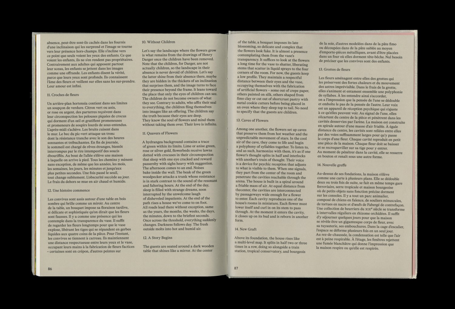Geoffroy Pithon — Lisa Sturacci Graphiste