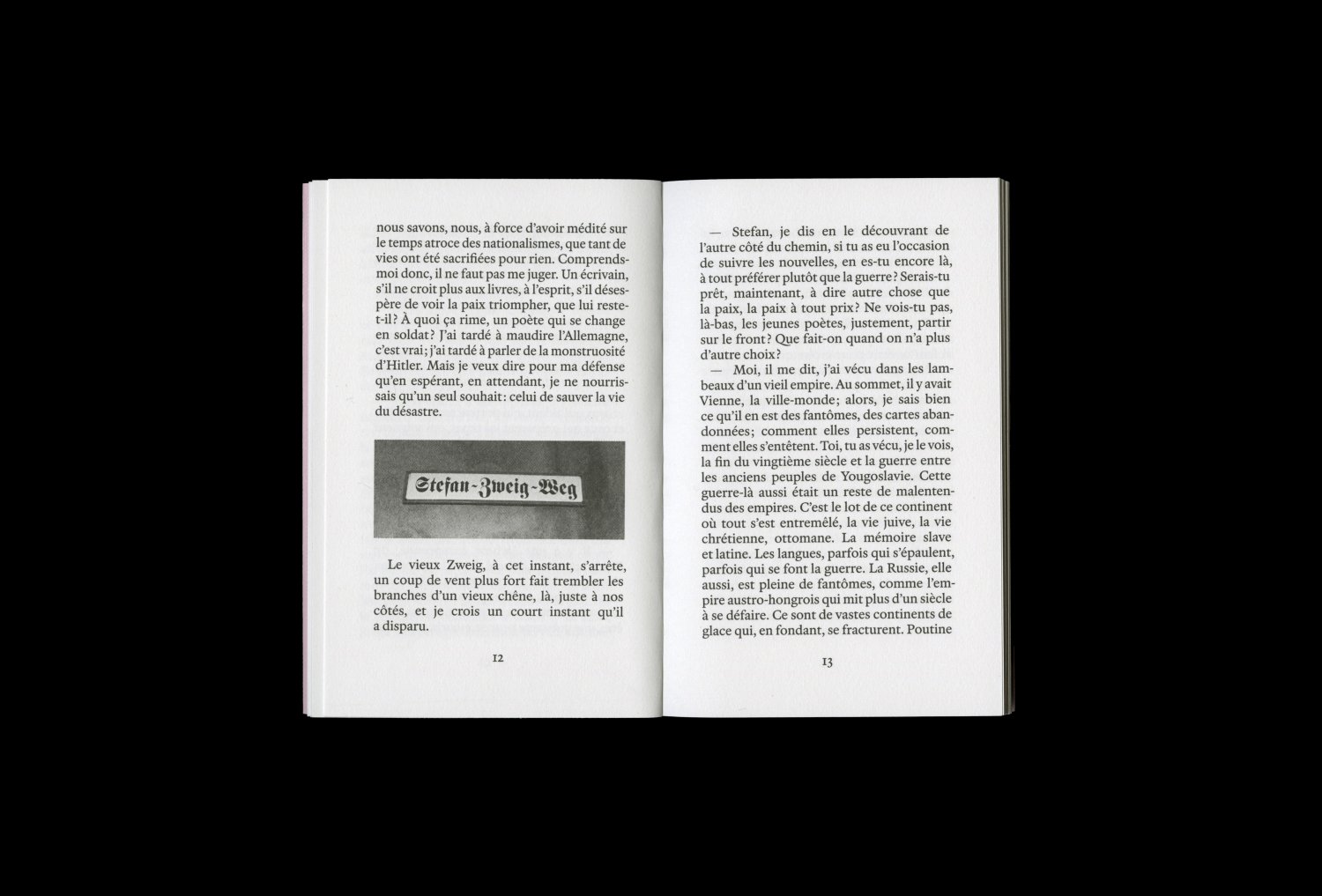 Camille de Toledo. Si Stefan Zweig pouvait parler — Lisa Sturacci Graphiste