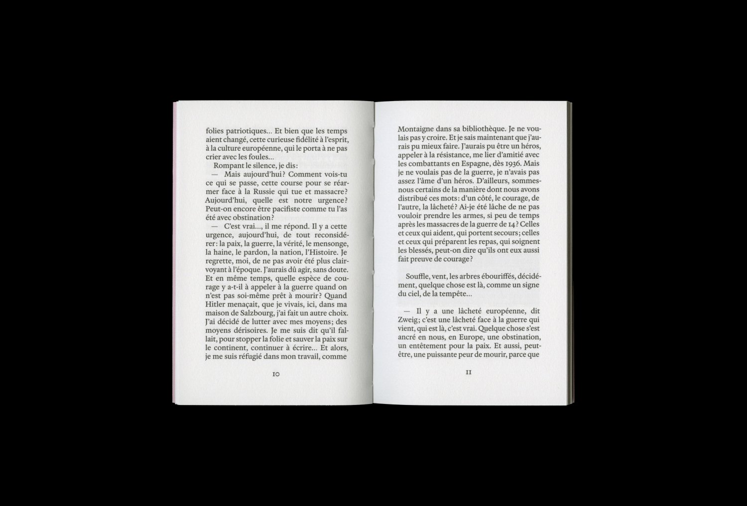 Camille de Toledo. Si Stefan Zweig pouvait parler — Lisa Sturacci Graphiste